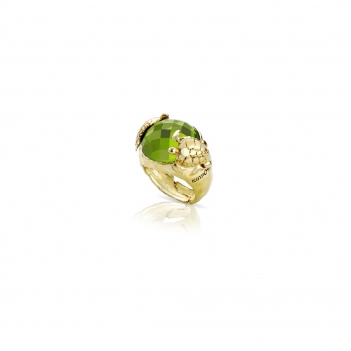 ANELLO MEDIO